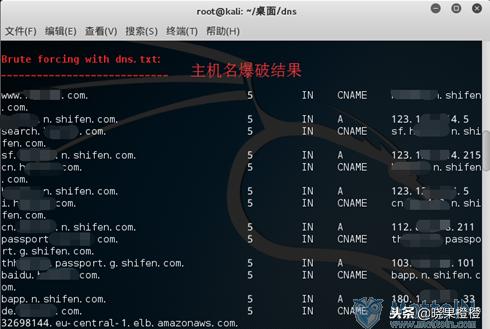 小白客带你走进黑客世界15kalilinux下的信息收集技术