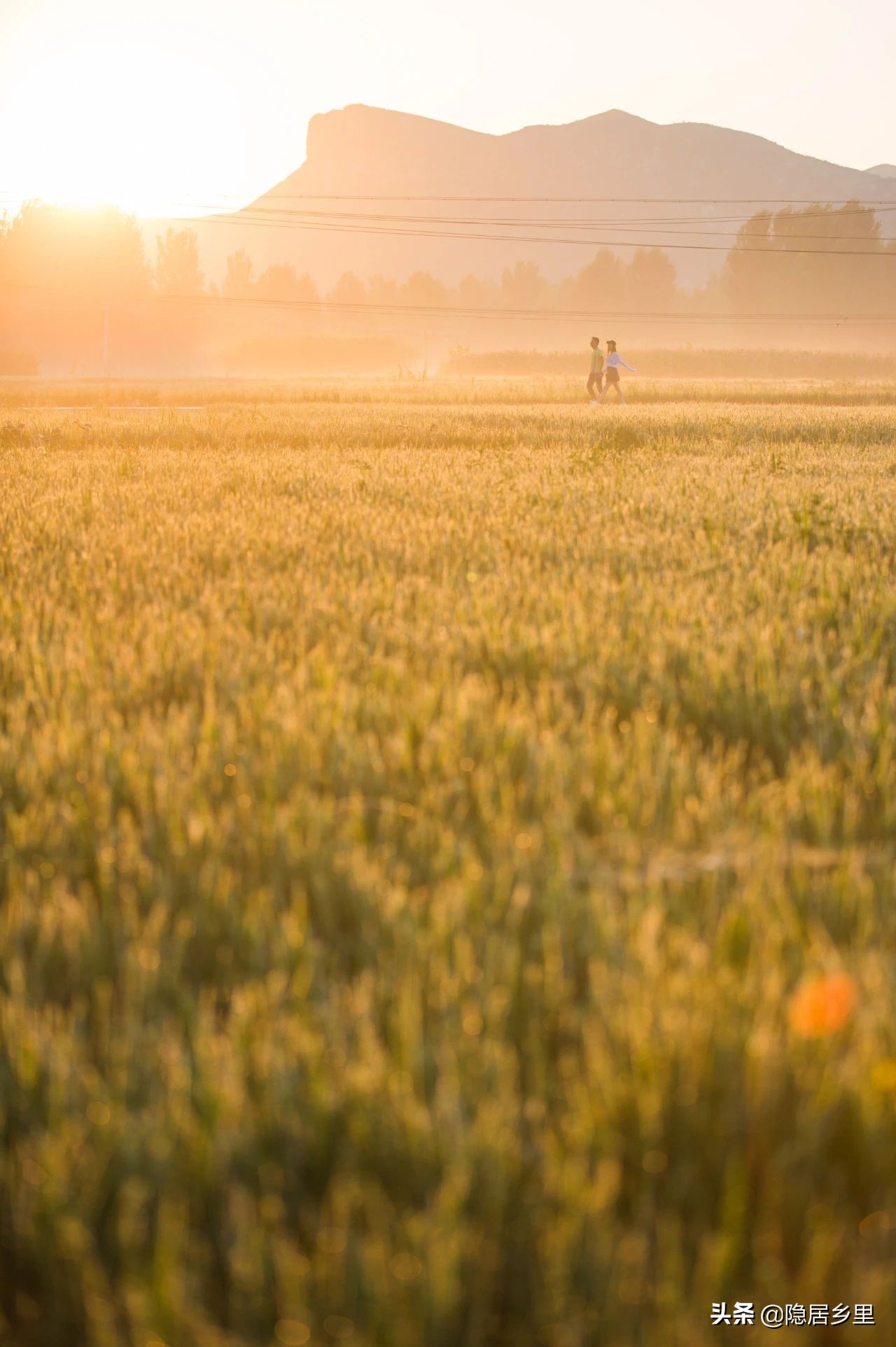 亲子京郊游红叶,国庆去北京看红叶攻略