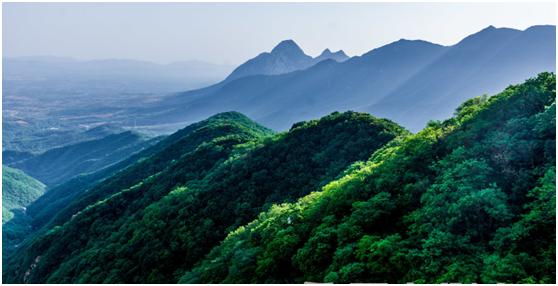 真正的少林功夫在哪里,少林功夫都有什么
