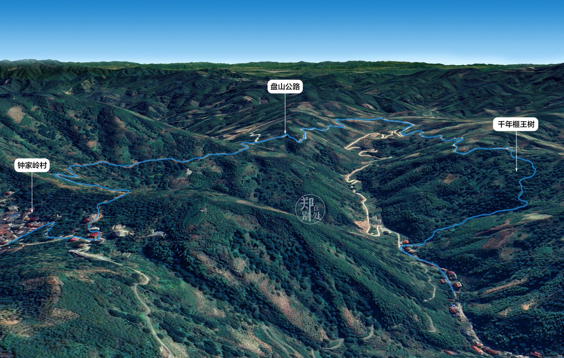 香榧古道,香榧古道徒步路线哪条景色美