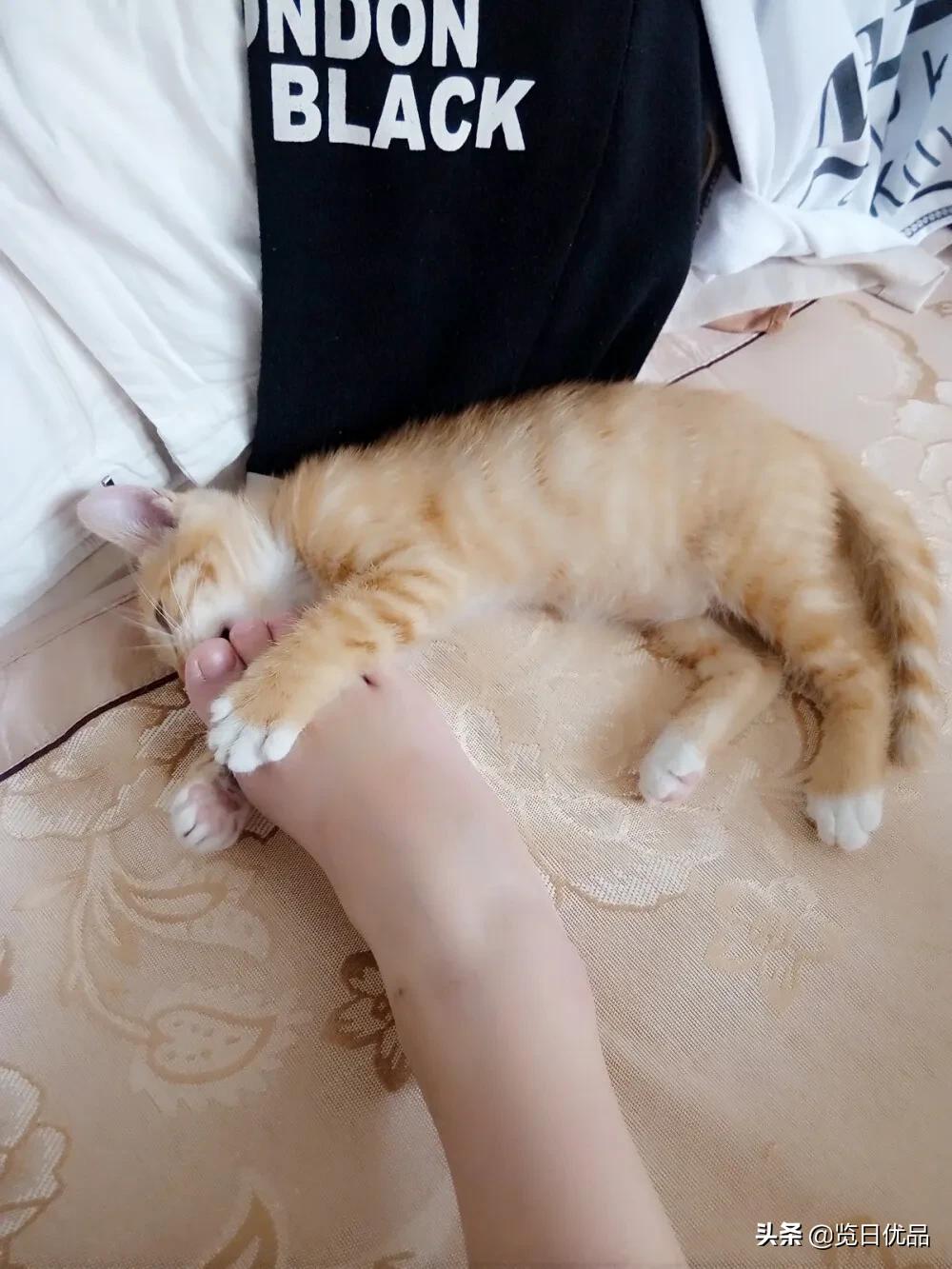 爽炸了!干丑裂的脚皮,一张完整撕掉,敢跟婴儿比姣嫩!