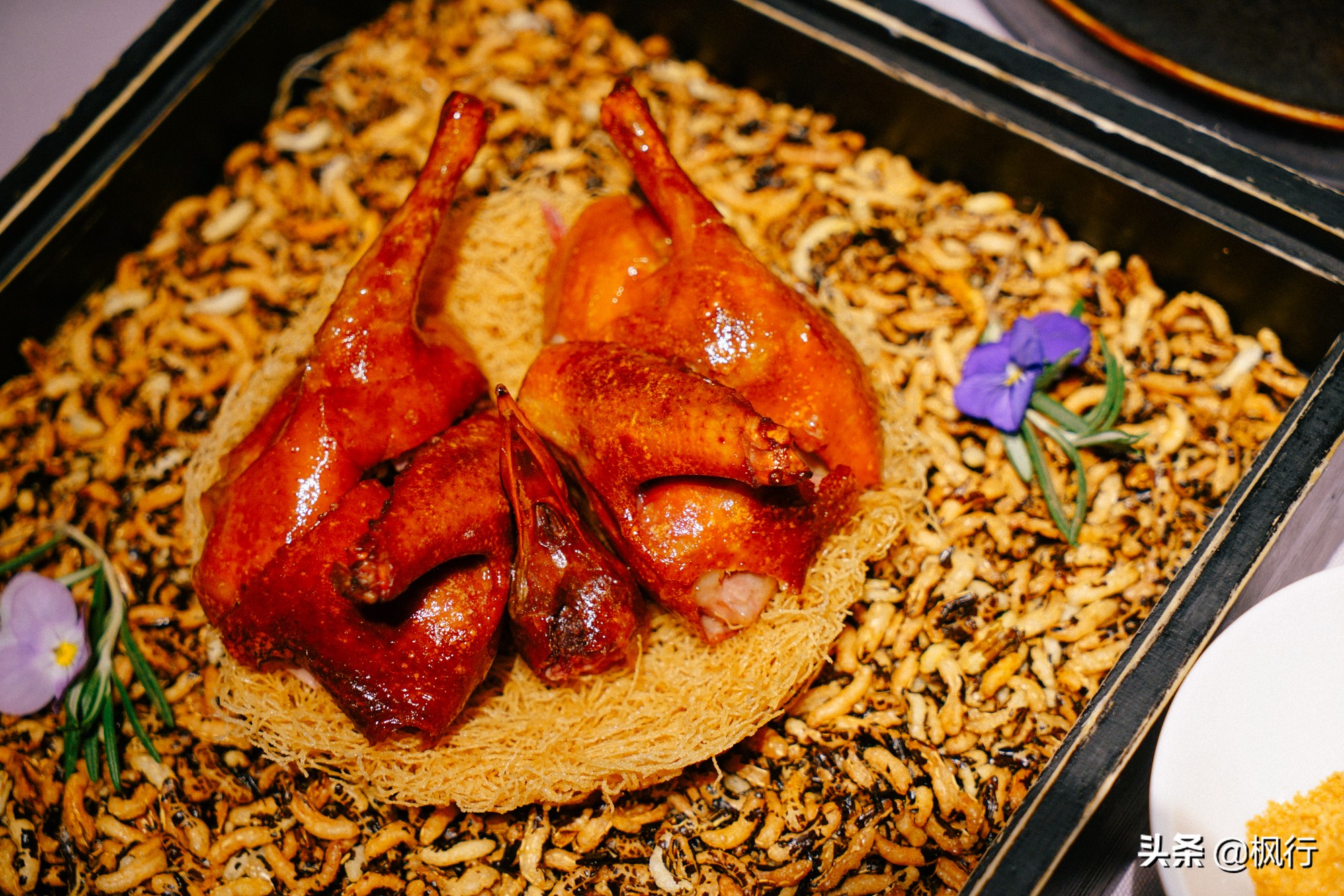 这家北京二环内的粤菜馆，装修获大奖，松板肉、乳鸽、罗氏虾惊艳