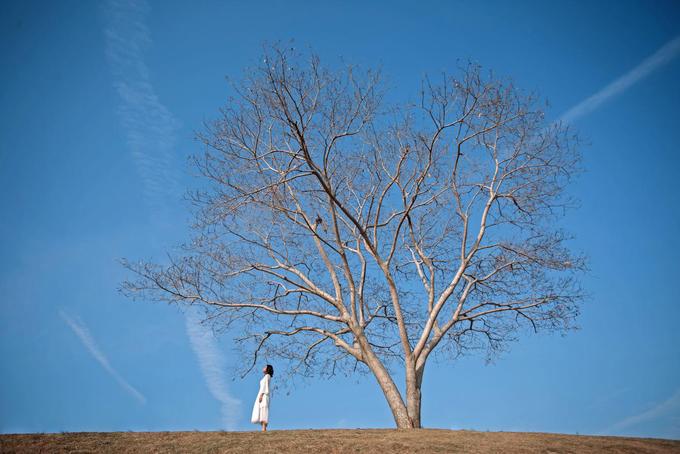 厦门五日游详细攻略来了,厦门五日游攻略详细