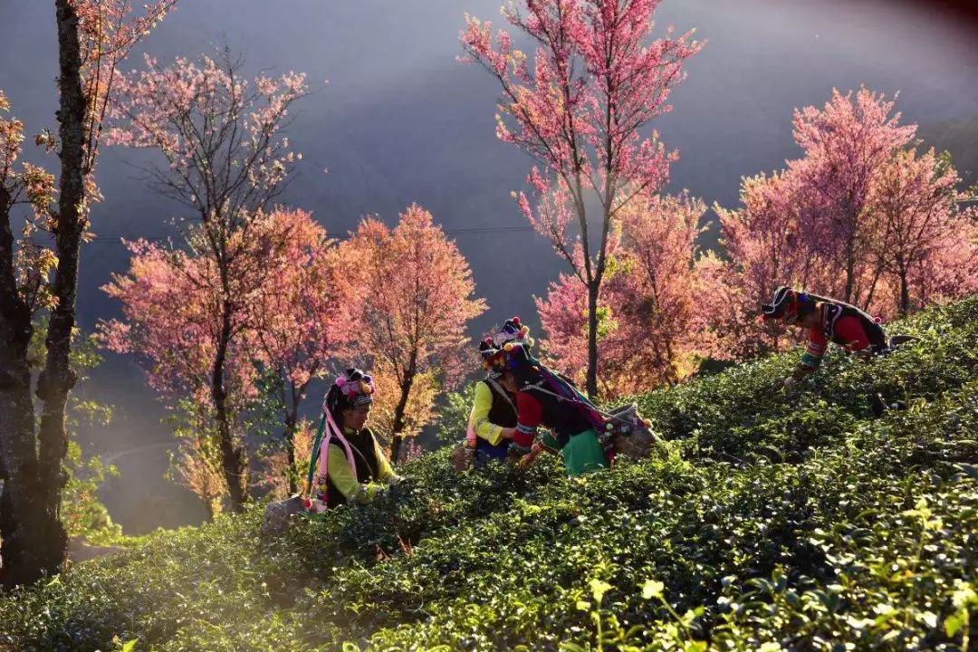 秋季人少景美的小众旅行地,最清静优雅的旅游之地