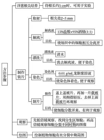 高中生物实验方法归纳图怎么画的,高中生物实验专题归纳