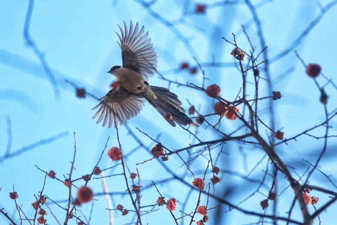 易经里的冬至,易经冬至转运