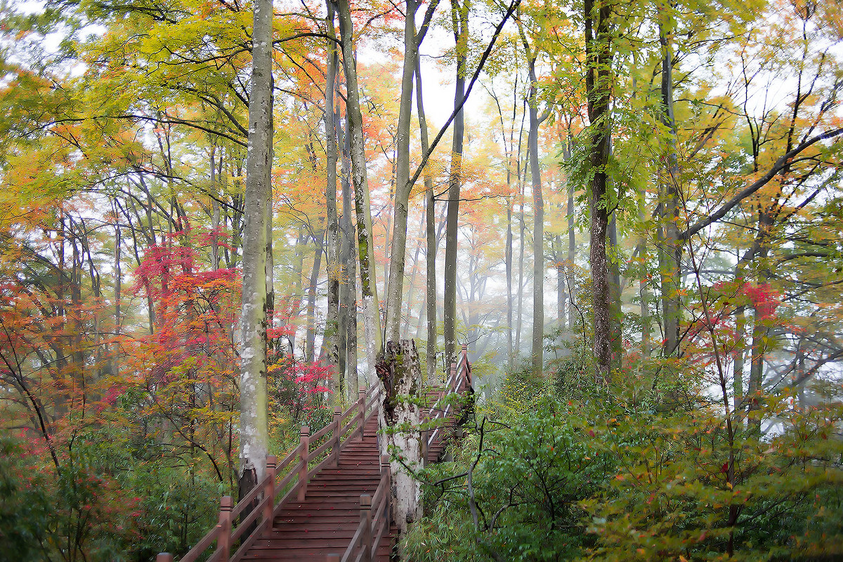 巴中光雾山红叶的最佳时间,红叶谷打卡地