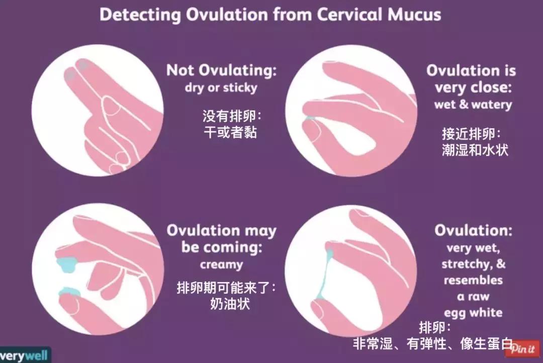 排卵期出血的症状和表现都有哪些,排卵期的症状和表现都有哪些