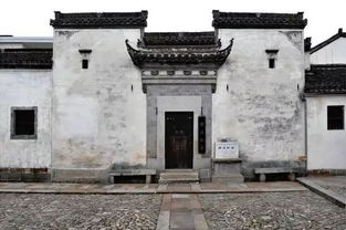 冯顺弟个人简历,冯顺弟个人简介