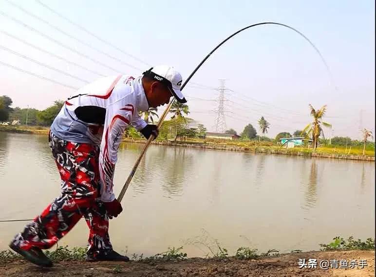 小钩钓青鱼的正确用法,单钩钓青鱼的子线多长合适