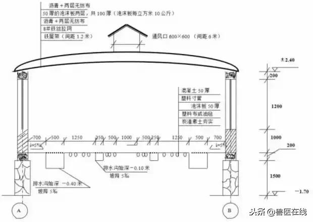 20头母猪猪舍设计图,20头母猪栏设计图