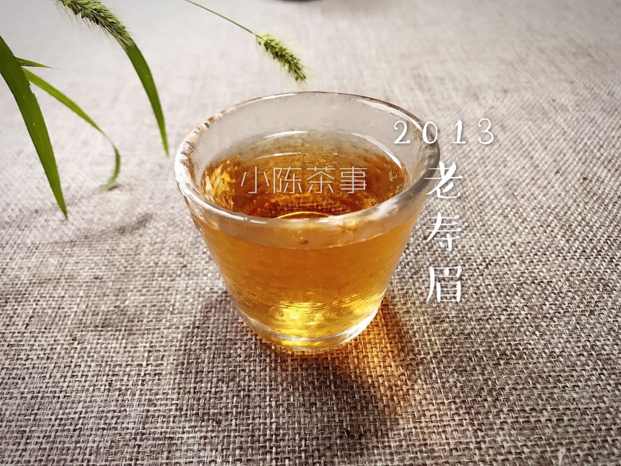 荒野白茶能出金花吗,荒野白茶和普通白茶干茶区别