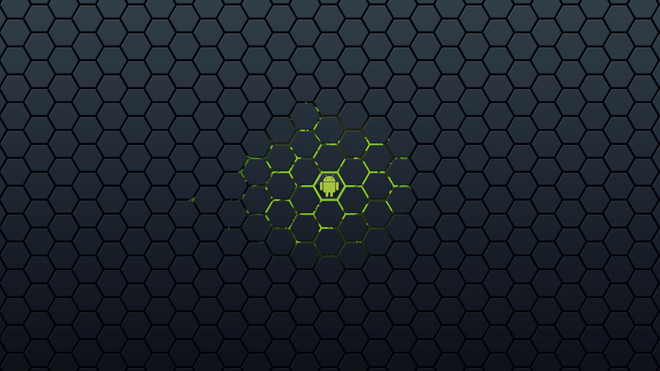 我的去Google化的安卓之旅