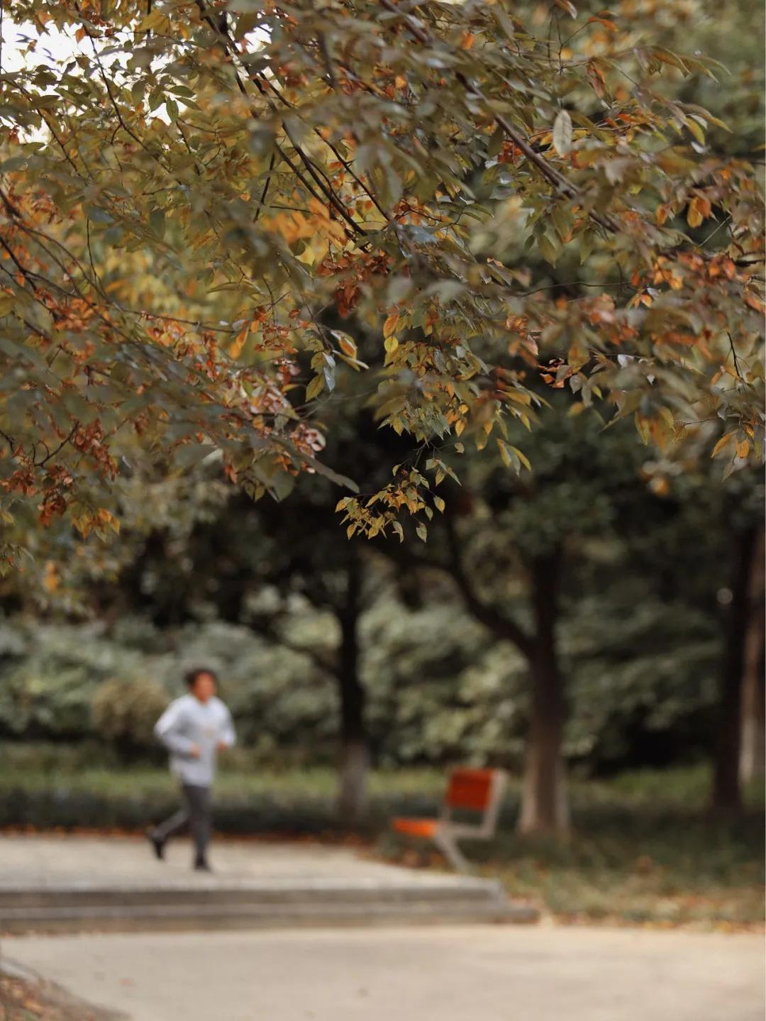 @张家港人，心动了！快走！