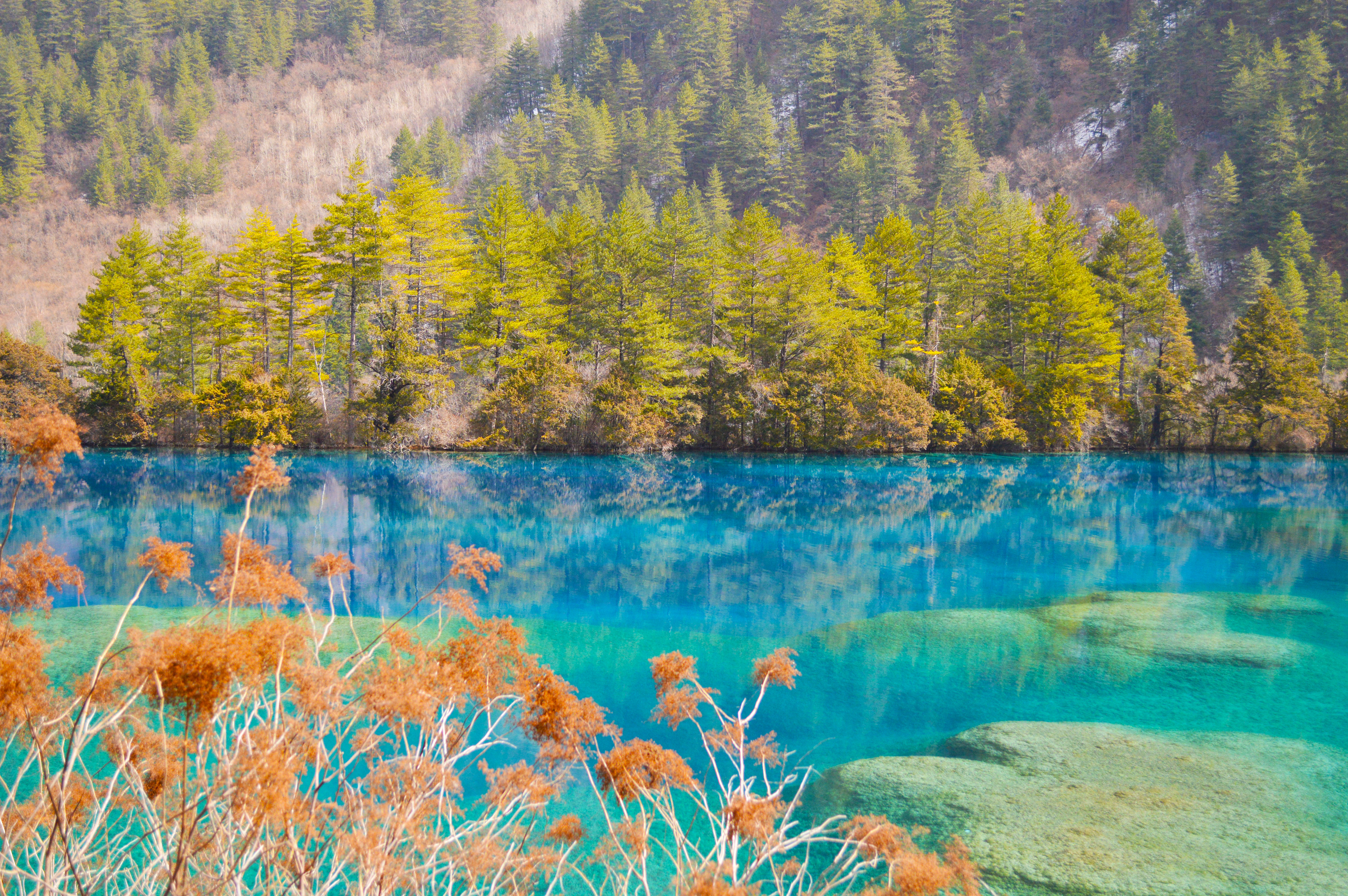 九寨沟震后最美景点开放了吗,九寨沟地震珍贵景点