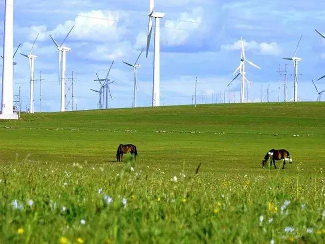 快来报名吧！盛夏到“草原避暑之都”来踢球~~~