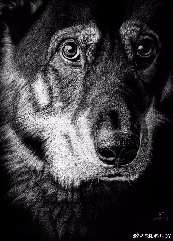 简单针管笔手绘花,简单易学针管笔手绘