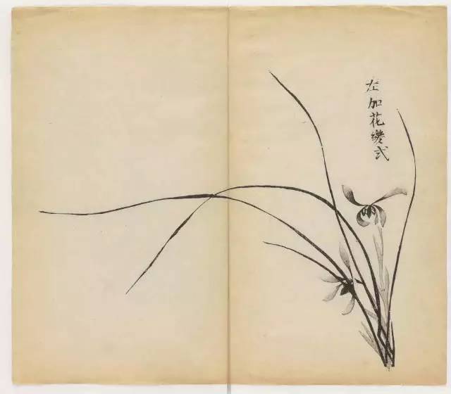 毛笔怎么画兰草,怎么画兰花和书法