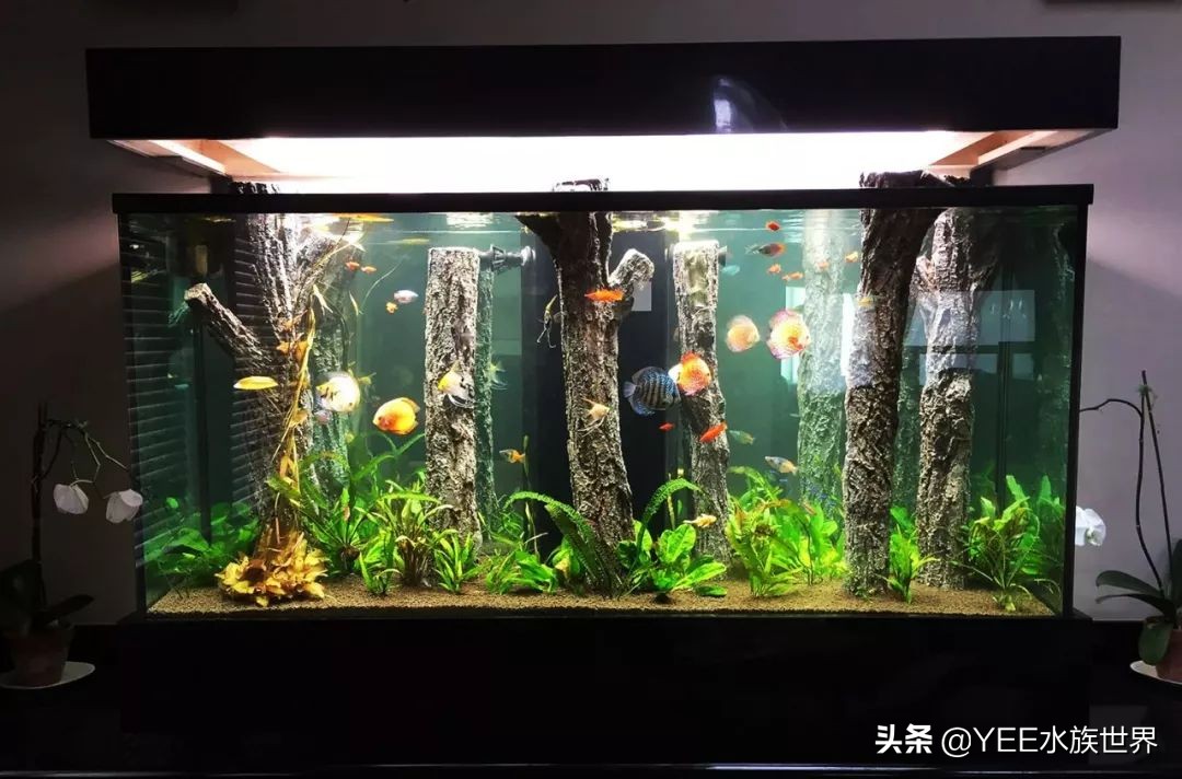 买水泵前需要注意什么问题,买水泵注意事项有哪些