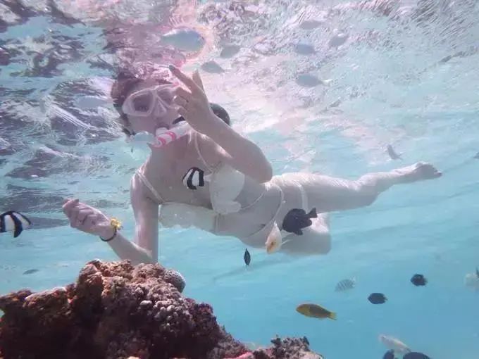 惠东巽寮湾轰趴别墅酒店凤池岛,巽寮湾海景泳池轰趴别墅团购