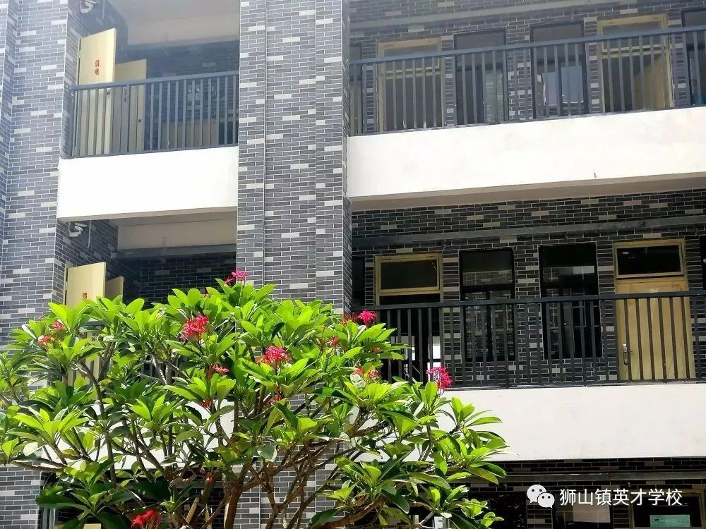 狮山新开的学校,狮山镇新建学校