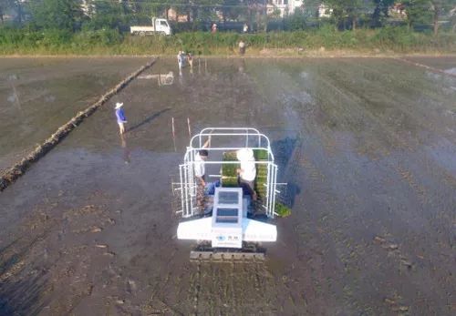 农村致富的10个门路,农村山沟适合做什么生意