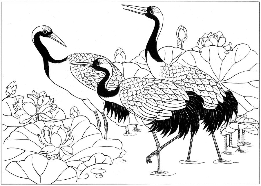 仙鹤桃子工笔白描稿,工笔画仙鹤高清图上色步骤图