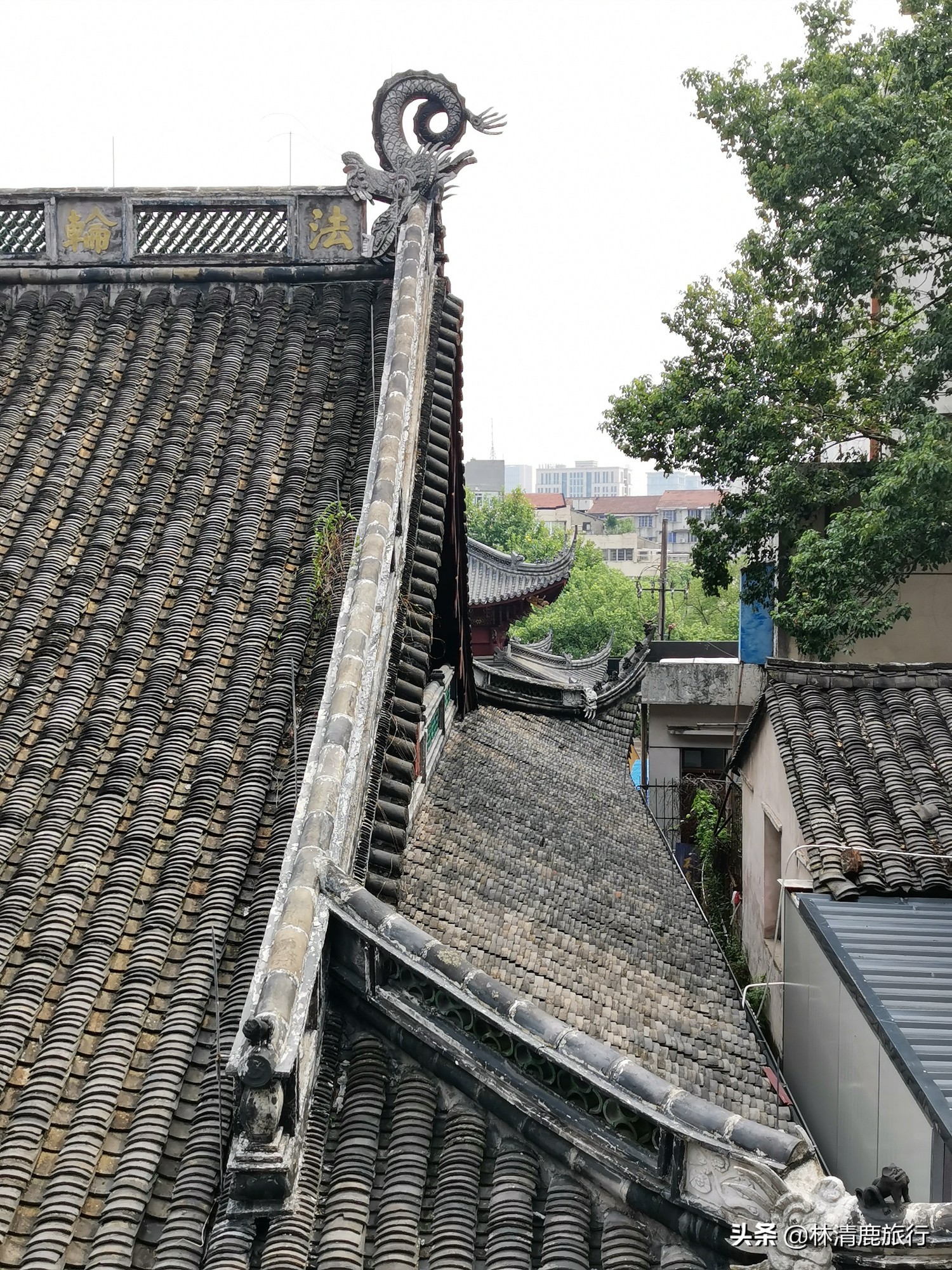 冷门浙东名寺：距今1700年没门票，宋高宗曾在此避难