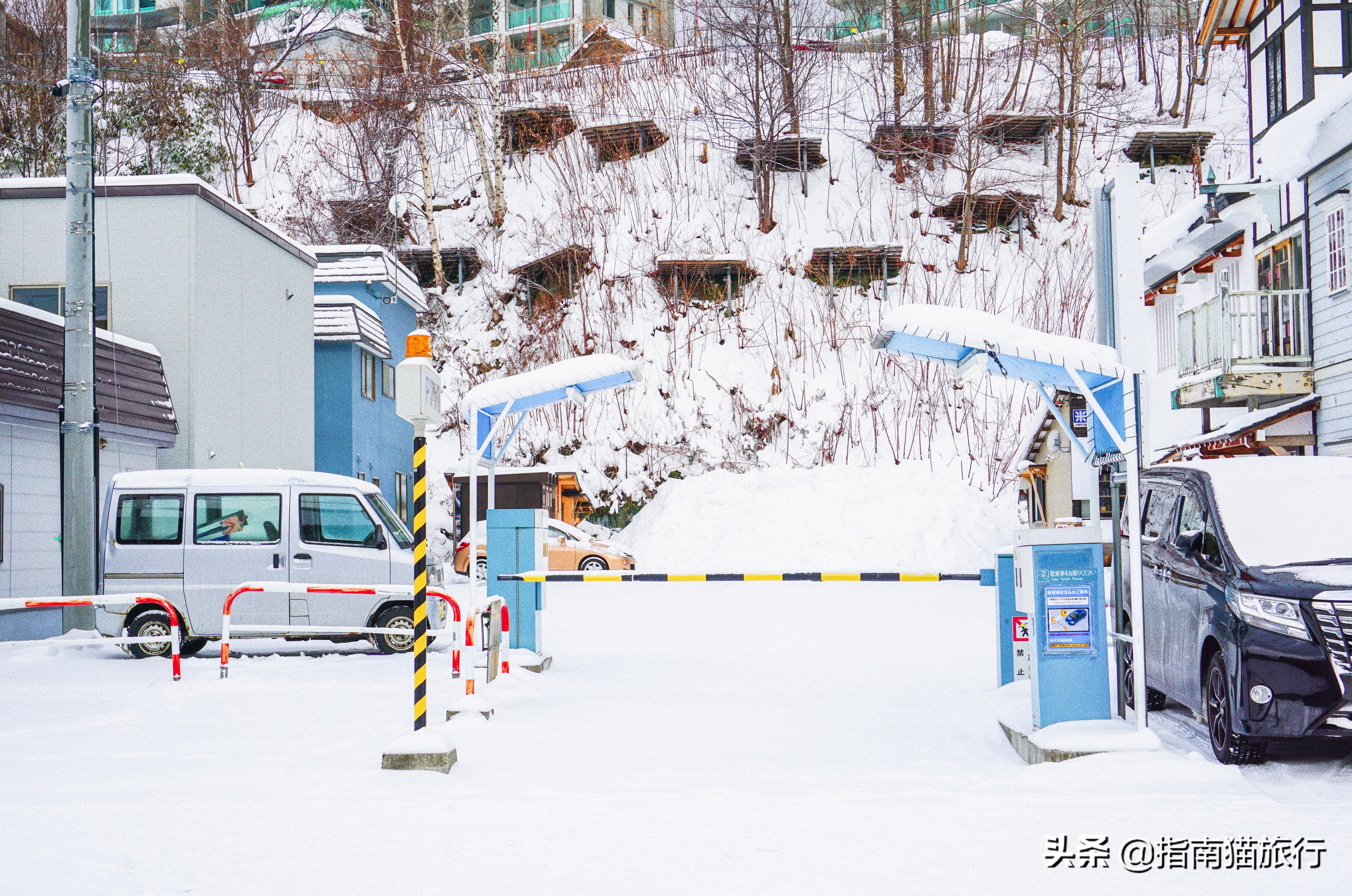 双十一捡漏不迷路,双十一旅游机票