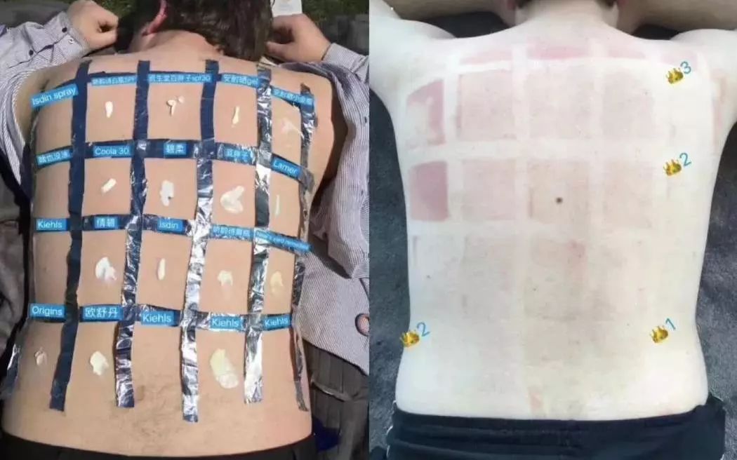 琚佸濮楄憽钀勭苯绮惧崕,琚佸濮楁帹鑽愯憽钀勭苯鎶よ偆