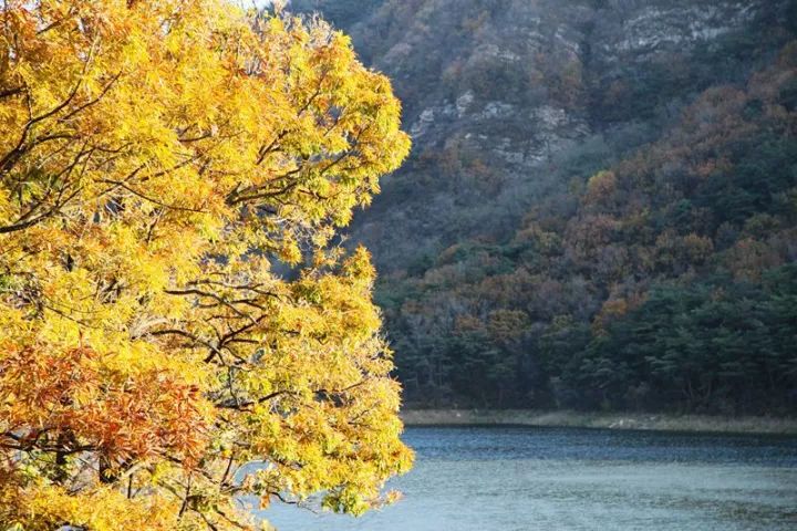 大连九月旅游攻略大全,大连11月旅游的最佳地方