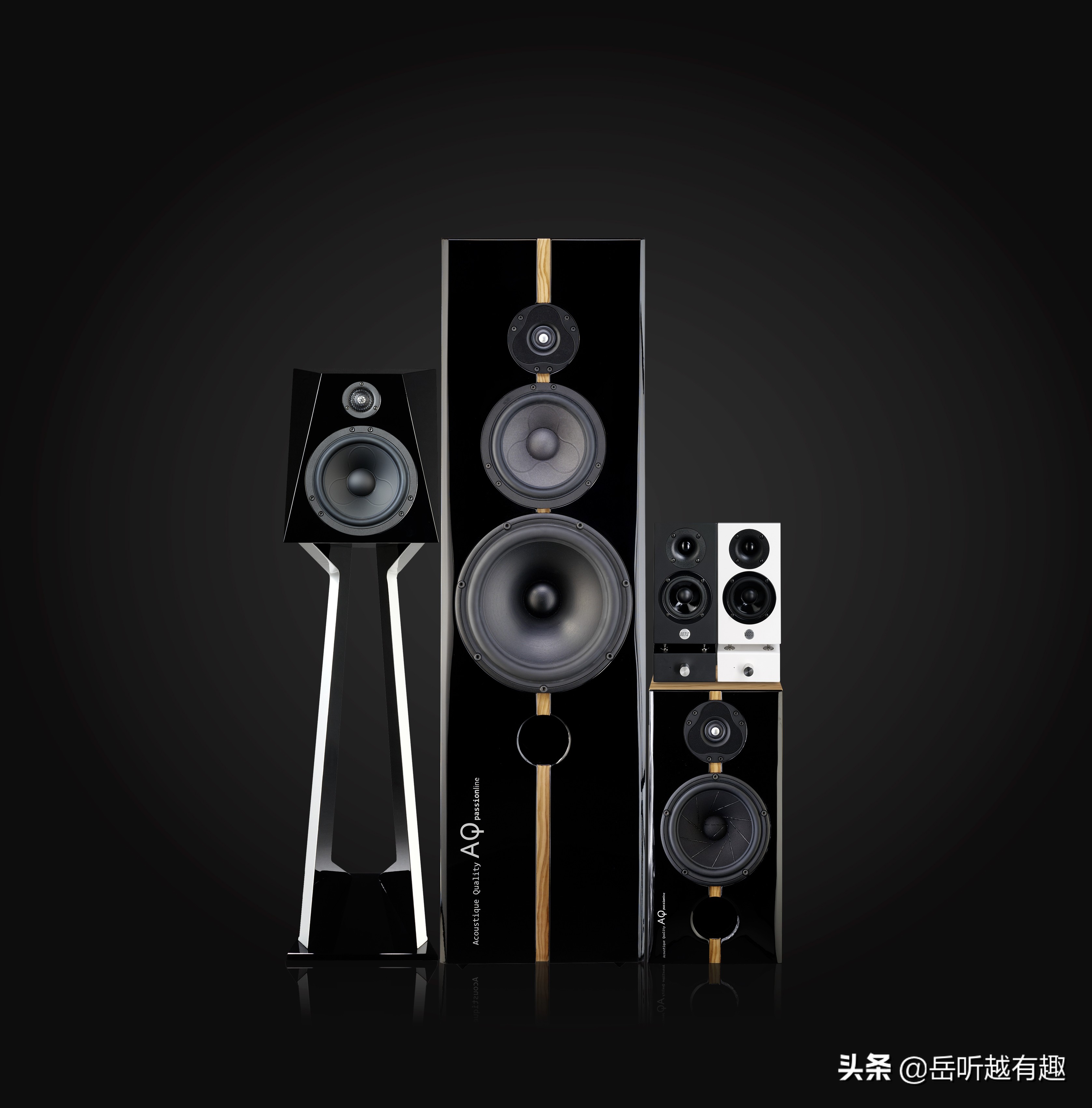 鎵嬪伐涔嬬編瑙嗛,鎹峰厠acoustique闊崇