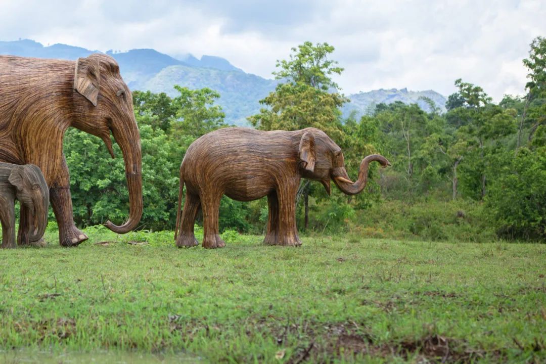 芝加哥火焰队球场,芝加哥火焰足球队英文
