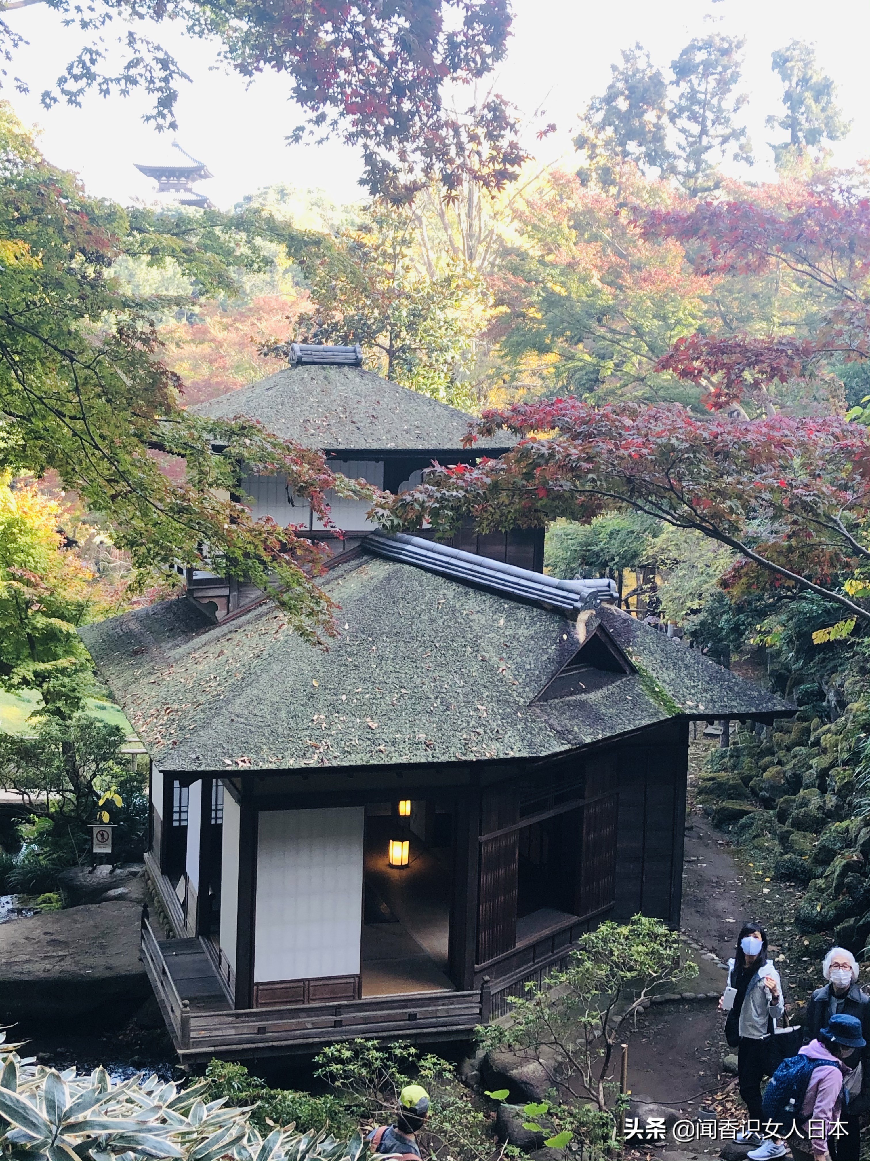 横滨三溪园,横滨三溪园介绍