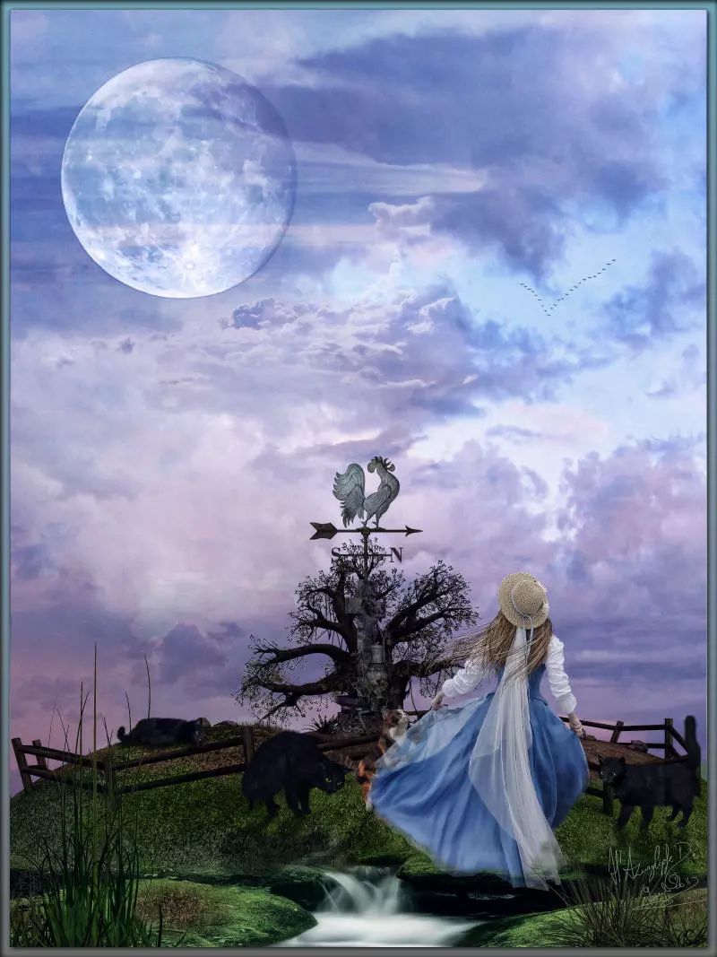 木槿：《梦中的老屋》诵/清馨百合