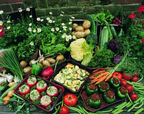 现在小型创业什么行业最赚钱见效,暴利小本创业都有什么