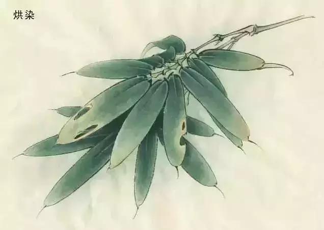 工笔画红叶染色技法,工笔画牡丹花头染色技法步骤