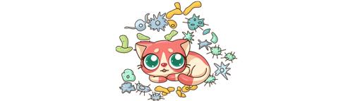 毛孩子消化不良出现拉稀呕吐,毛孩子换了新环境拉肚子怎么回事