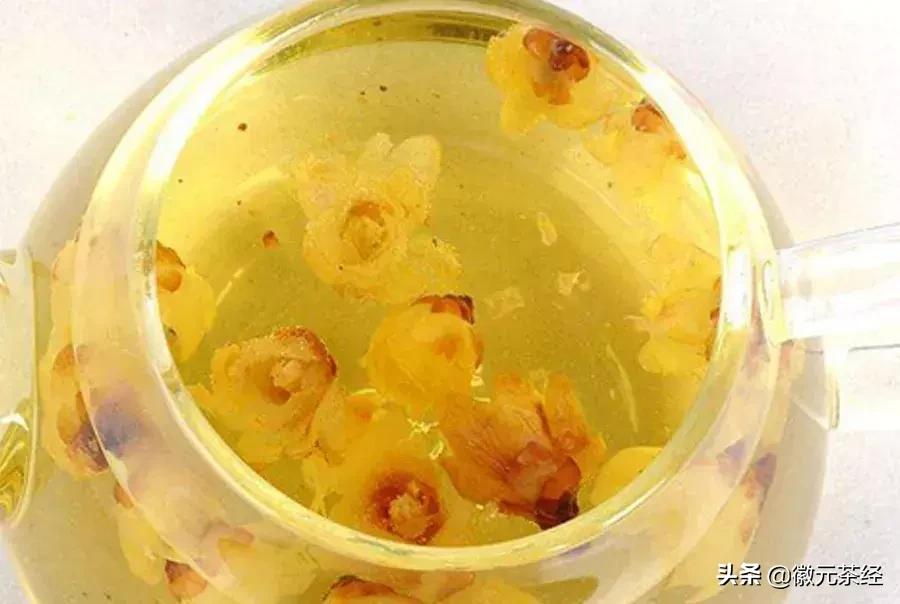 踏雪寻梅腊梅,踏雪寻梅红梅傲雪