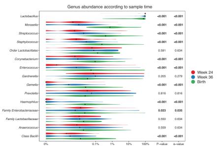 妊娠期母体呼吸系统变化,母体激素调节