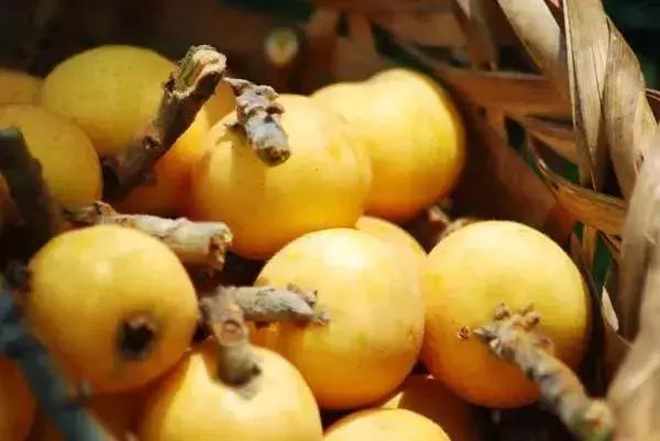 如皋本地人吃的美食,如皋当地美食