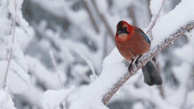 卖水不挣钱的视频,卖水赚得一塌糊涂