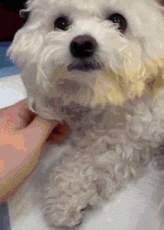 李佳琦，你把我们都骗了