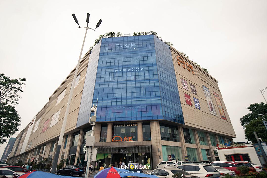 沙井的蚝,沙井为什么这么多蚝