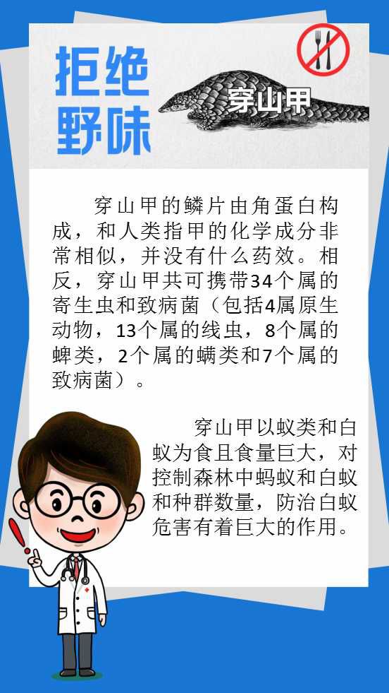 不知情情况下吃了野生动物违法吗,禁吃野生动物法规