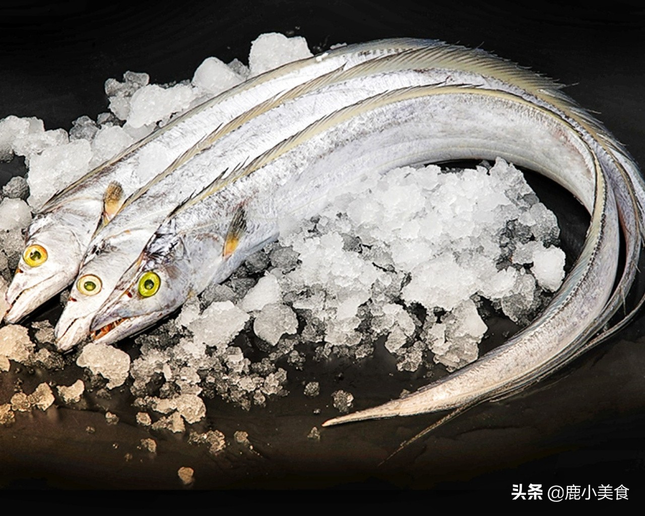 春季养生要吃鱼8种鱼最肥美,春季不可错过的五大时令鱼鲜美味