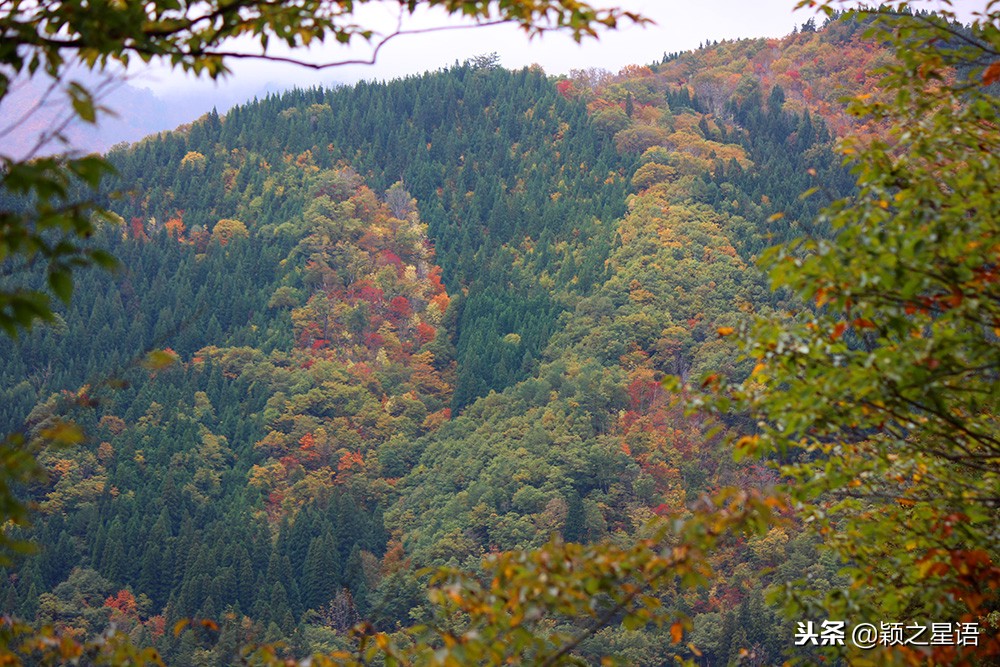 几千块的日本电饭煲,国产锅日本锅