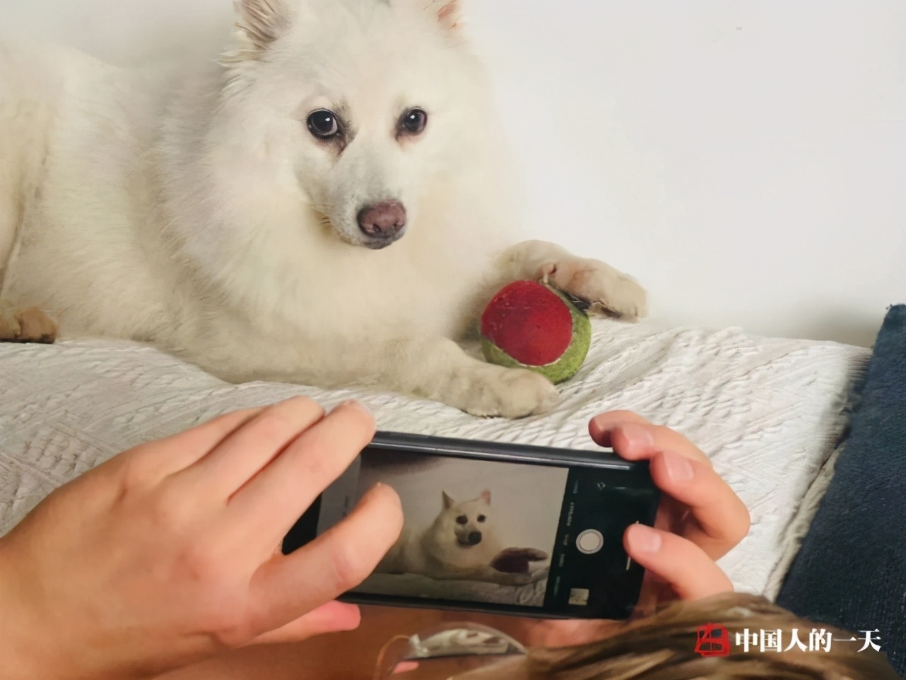 三个中国女人远嫁美国的亲身感悟,女性嫁给老外的真实感受