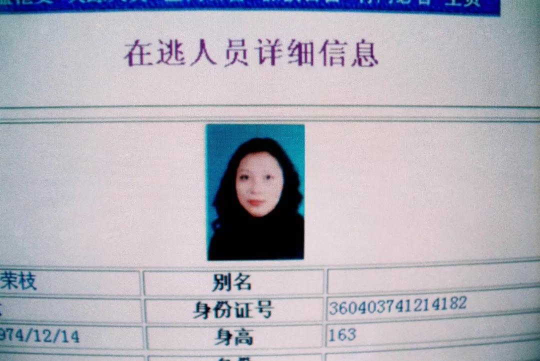 用镜头对准法子英枪口的警察摄影家