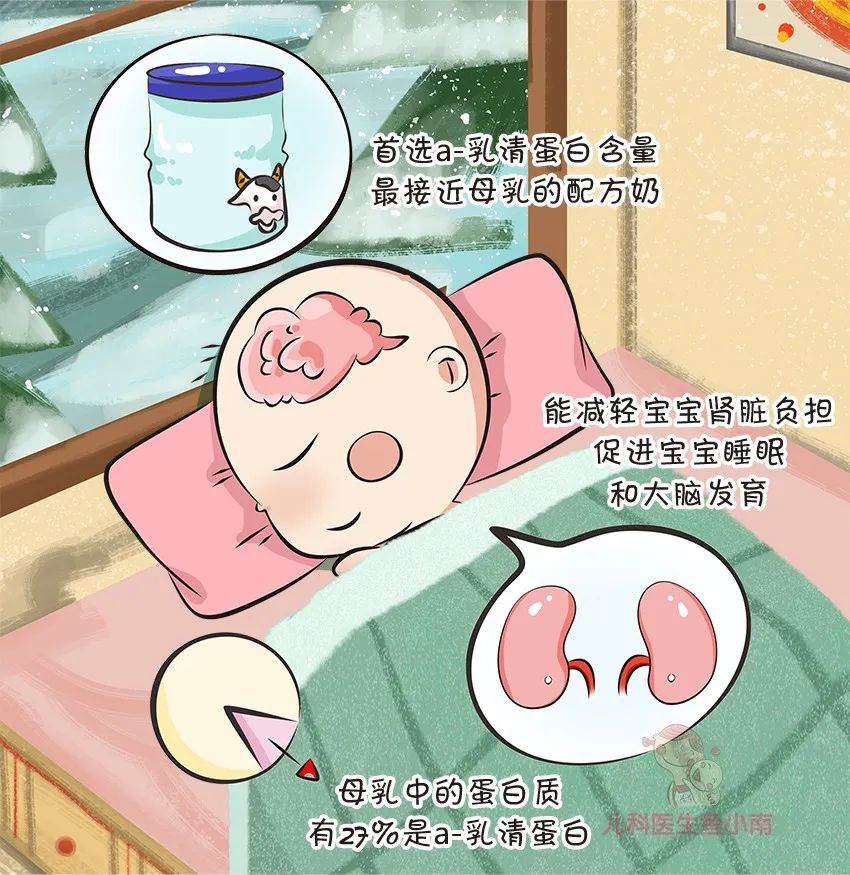 奶粉怎么选需要有什么字号,奶粉怎么挑选配料表